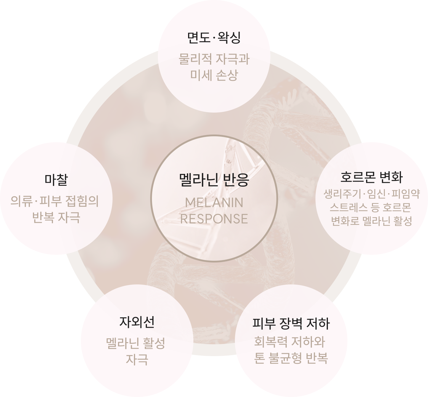 Stem Cell Ampoule