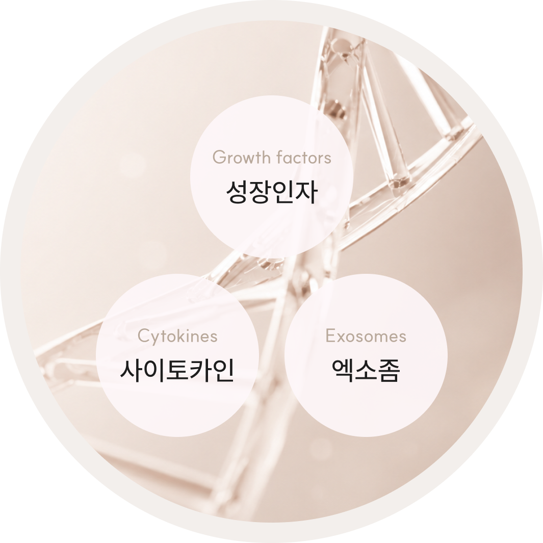 Stem Cell Ampoule